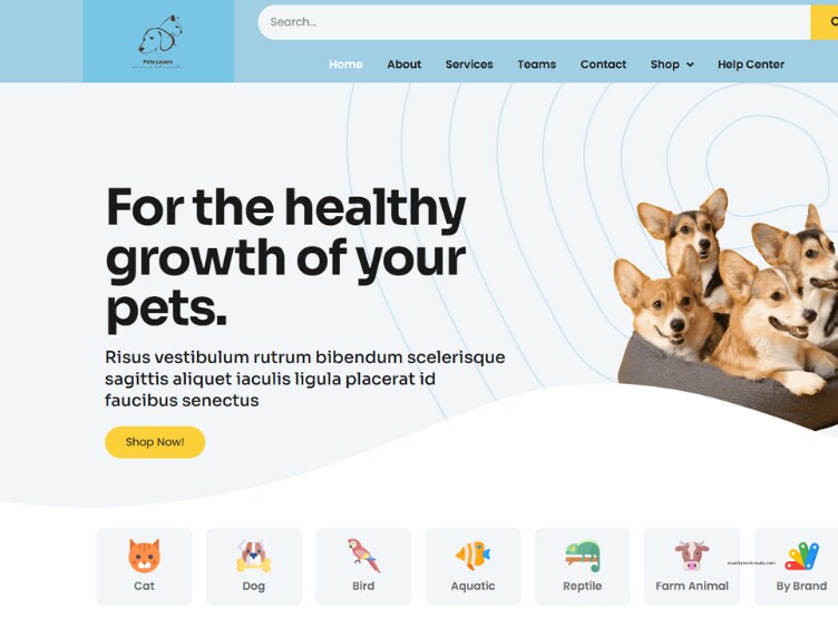 Home 6 pet clinic design row