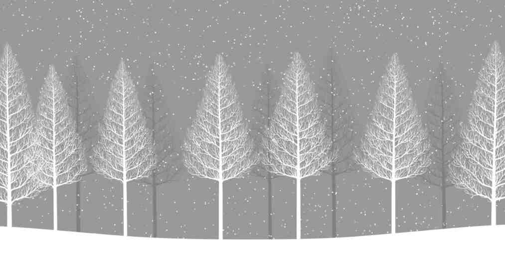 snowfall plugin
