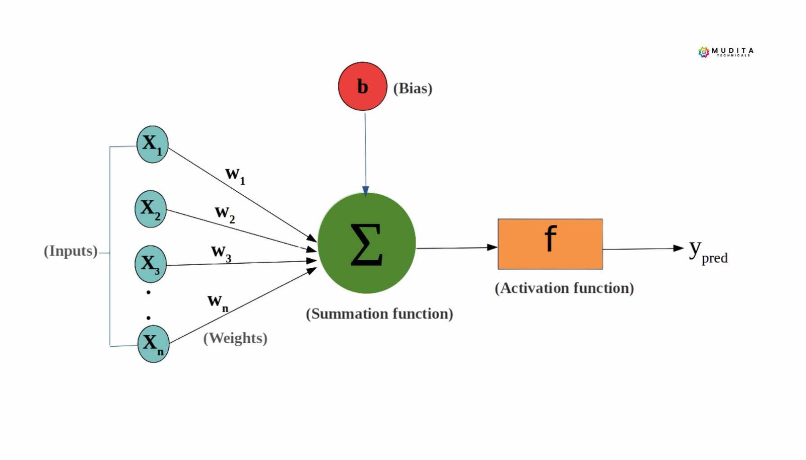 Understanding the Perceptron: How Machines Learn Decision Boundaries 3 Diagram of a single-layer the perceptron showing inputs, weights, bias, summation, and activation function leading to a predicted output.