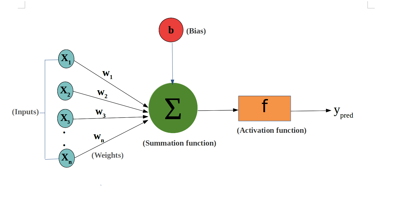 Perceptron Components